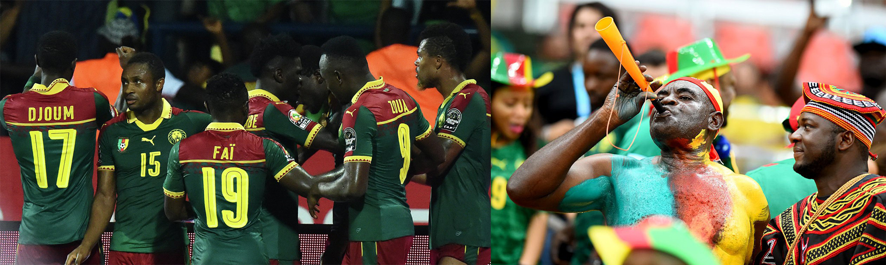 Заявка сборной Камеруна на Кубок Конфедераций